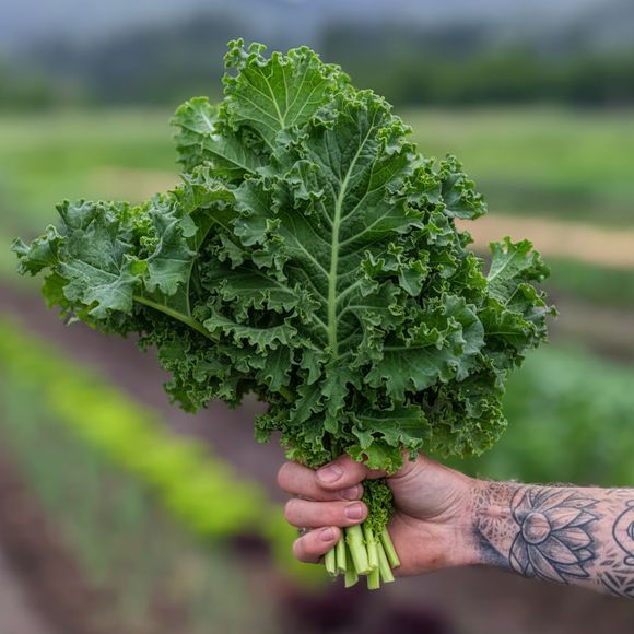 Curly Kale