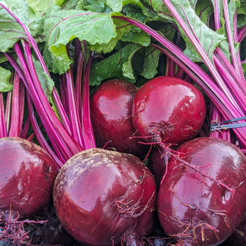 Purple Beet Bunches